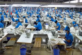 Dệt may TNG phát hành 6,4 triệu cổ phiếu trả cổ tức năm 2020