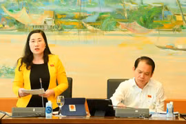 Phải chặt chẽ về căn cứ tạm đình chỉ vụ án “vì lý do dịch bệnh, thiên tai”
