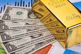 Vàng và USD không còn là kênh đầu tư hấp dẫn thế hệ nhà đầu tư trẻ Việt Nam hiện nay