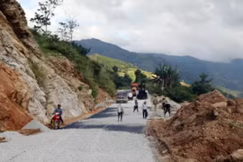 Nhà thầu thi công cầm chừng do giá vật liệu xây dựng tăng cao
