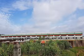 Hải Dương: Bất chấp lệnh đình chỉ, nhà máy sản xuất bao bì vẫn ngang nhiên hoạt động
