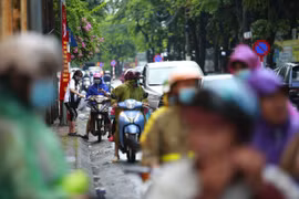 Đáp án đề thi tốt nghiệp THPT 2021 môn Tiếng Anh, mã đề 420 (tham khảo)