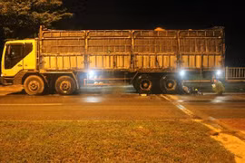 Ninh Thuận: Ba thanh tra Sở Giao thông Vận tải Ninh Thuận bị bắt