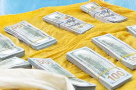 Bắt giữ cặp đôi vận chuyển trái phép 86.200 USD qua biên giới