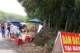 Giá đất "lên đồng": 4 Bộ, 5 địa phương quyết mạnh tay dẹp nạn "sốt" đất