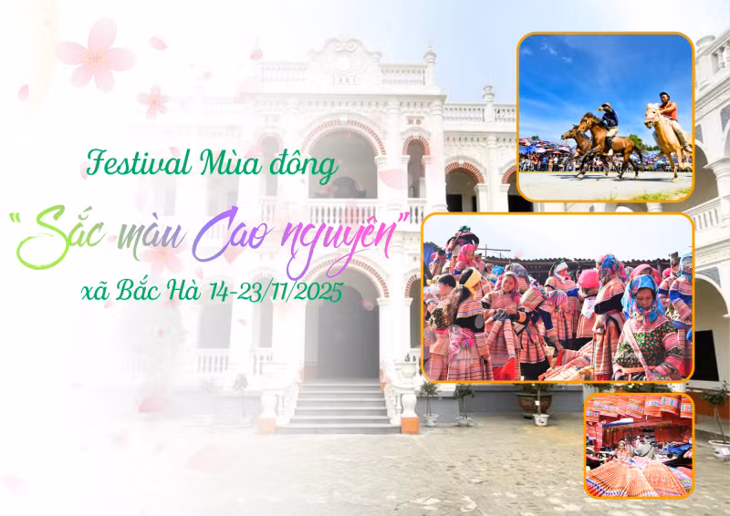 festivalbacha.png