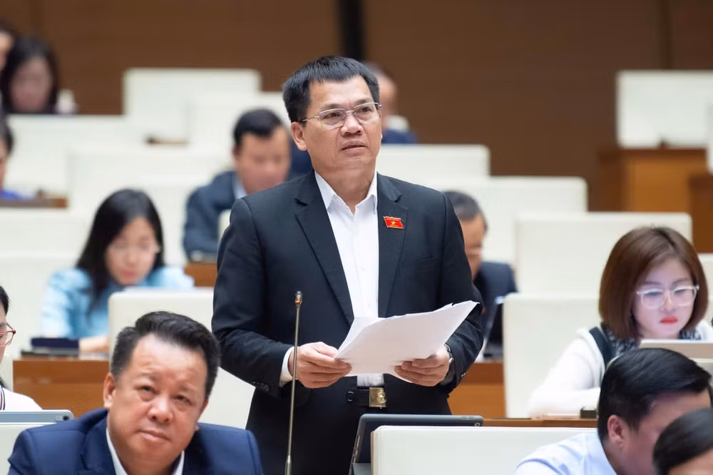 Đại biểu Dương Khắc Mai (Đoàn ĐBQH tỉnh Lâm Đồng) phát biểu.