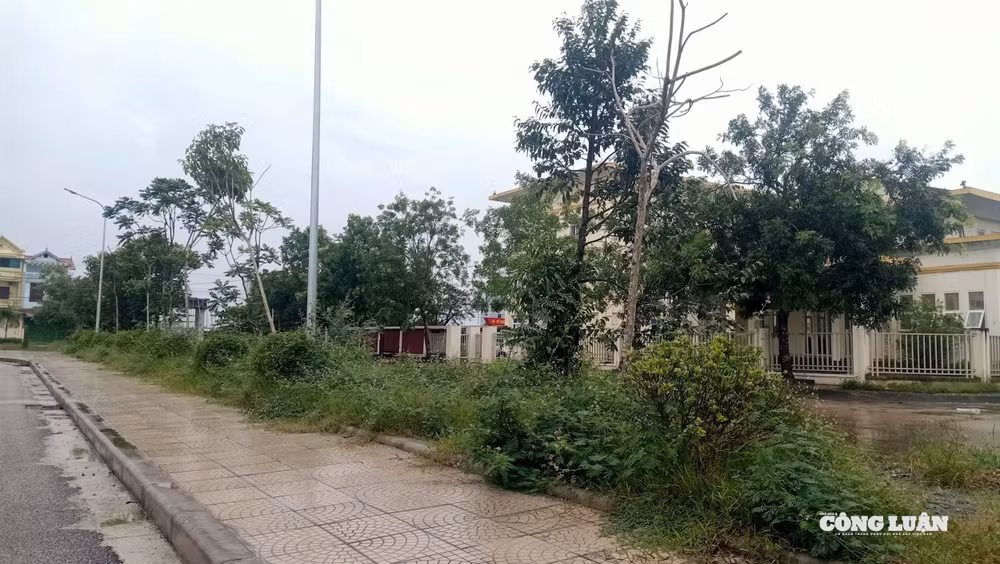 z7204243500400_e0e06af49099cfe7b2c739b112331373.jpg