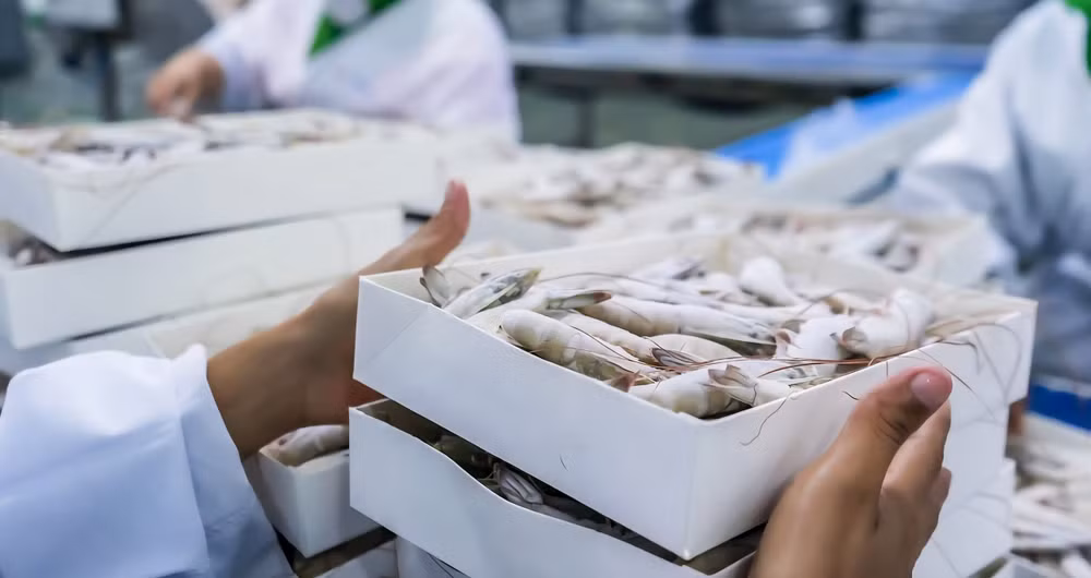 Nghiên cứu ứng dụng và phát triển công nghệ chế biến, bảo quản nông lâm thủy sản.