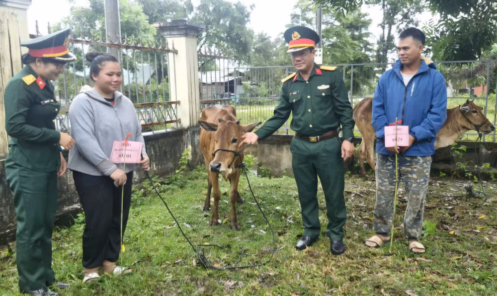 Lãnh đạo Đoàn Kinh tế-Quốc phòng 710 bàn giao bò cho người dân. Ảnh: Vĩnh Hoàng