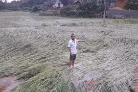 Thái Nguyên: Cần kiên quyết xử lý đơn vị khai mỏ vi phạm về bảo vệ môi trường