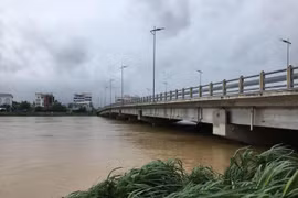 Quảng Ngãi: Chủ động ứng phó với diễn biến phức tạp của bão số 6