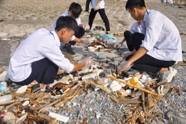 “Bãi biển ngập rác – Nhận thức của tôi – Hành động của bạn”