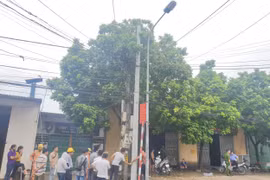Phú Xuyên (Hà Nội): Một công nhân bị điện giật tử vong khi leo lên cột điện