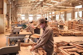 Việt Nam tăng cường kiểm soát nguồn gỗ nhập khẩu