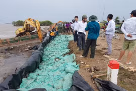 Cà Mau: Ban bố tình huống “khẩn cấp” do sạt lở bờ biển