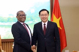 Phó Thủ tướng Vương Đình Huệ tiếp đại sứ Nam Phi, Nigeria