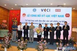Lễ hội hoa anh đào nhận bằng Kỷ lục Việt Nam