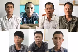 Quảng Bình: Khởi tố 7 đối tượng phá rừng đặc dụng ở Phong Nha - Kẻ Bàng
