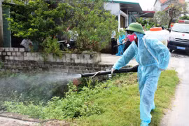 Hà Nội: Nguy cơ bệnh bệnh sốt xuất huyết phát triển mạnh