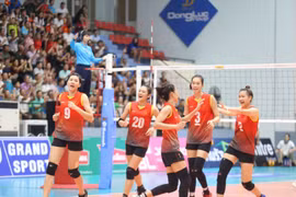 Chuẩn bị khởi tranh giải bóng chuyền VTV Cup Tôn Hoa Sen 2019