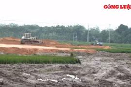 Cần làm rõ việc Công ty CP Đầu tư BĐS Toàn Cầu phá lúa non, thi công trên diện tích chưa được đền bù