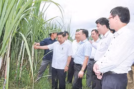 Tạo bước đột phá trong hoạt động kinh tế - xã hội