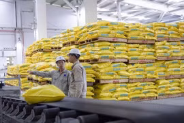 Đạm Phú Mỹ tiết giảm mạnh chi phí trong quý I/2019