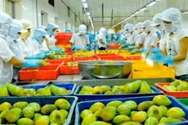 Xuất khẩu rau quả tạm thoát khỏi tình trạng ảm đạm