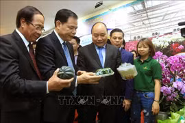 Hải Phòng cần tiên phong xây dựng những miền quê đáng sống, xanh, sạch, đẹp