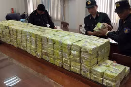 Không thể lơ là!