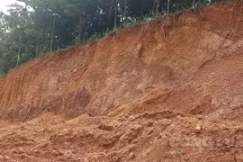 Quảng Ninh: Lợi dụng mở đường để khai thác tài nguyên, xâm lấn rừng trái phép?