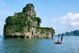 Không chỉ đẹp như tiên cảnh, Hạ Long còn thu phục du khách bởi những yếu tố hấp dẫn