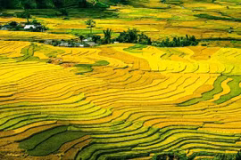 Mù Cang Chải của Việt Nam lọt vào top "Những địa điểm sắc màu nhất trên thế giới"