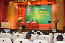 Đại hội đồng cổ đông Đạm Phú Mỹ 2019: Doanh thu 8.645 tỷ đồng, cổ tức 10%