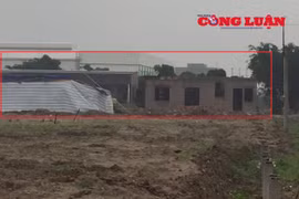UBND tỉnh Hưng Yên chỉ đạo kiểm tra, xử lý nghiêm sai phạm