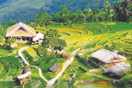 Nguồn nhân lực - Lời giải cho bài toán phát triển du lịch Việt Nam?