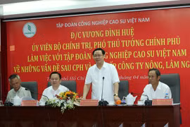 Phó Thủ tướng Vương Đình Huệ làm việc với Tập đoàn Công nghiệp Cao su Việt Nam