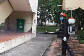 TP. HCM: Báo động kiến ba khoang tấn công