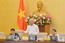 Cho ý kiến về dự án Luật Đầu tư công (sửa đổi) và việc chuẩn bị Kỳ họp thứ 7