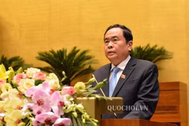 Cử tri đề nghị xử lý nghiêm các trường hợp cán bộ, đảng viên, công chức, viên chức vi phạm