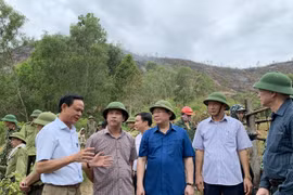Chưa thể dùng trực thăng chữa cháy rừng tại Hà Tĩnh