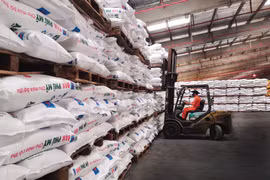 Nhà máy Đạm Phú Mỹ vận hành trở lại sớm hơn dự kiến