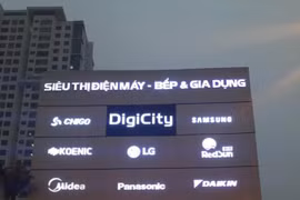 Digicity Việt Nam nợ hơn 500 triệu đồng bảo hiểm của người lao động
