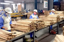Nguy cơ từ kim ngạch xuất khẩu gỗ Việt vào Mỹ tăng đột biến