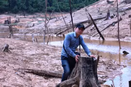Nhà báo Võ Mạnh Hùng - Hành trình đột kích... cứu rừng xanh