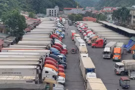 Cần thay đổi tư duy về nông nghiệp