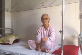 Thừa Thiên Huế: Ăn hồng giòn, một cụ bà nguy kịch vì loét dạ dày