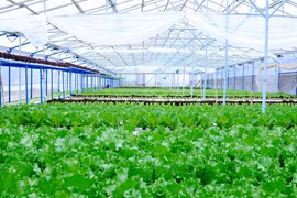 Thời công nghệ số, nông dân phải là doanh nghiệp