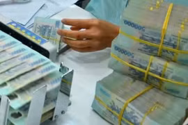Chi phí lãi vay doanh nghiệp sẽ tăng gấp đôi khi ngân hàng dừng cho vay ngoại tệ trung và dài hạn